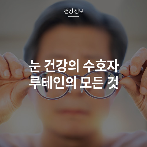 눈 건강의 수호자 루테인의 모든 것